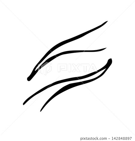 Pine needles set. Isolated vector EPS object. Graphic drawing hand painted by black inks. Cottagecore. Outline realistic sketch. Decorative elements in forest botanical illustrations. Pine needles set. Isolated vector EPS object. Graphic drawing hand painted by black inks. Cottagecore. Outline realistic sketch. Decorative elements in forest botanical illustrations. 142848897