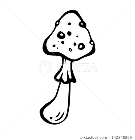 Fly agaric mushroom. Isolated vector EPS amanita. Graphic illustration hand drawn in black ink. Cottagecore, doodle. Outline sketch fungus for coloring, cozy autumn vibes and fall forest. Line art. 142848899