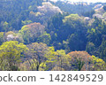 [Kanagawa Prefecture] Spring mist and budding satoyama 142849529