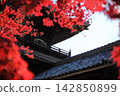 The temple gate and the autumn leaves in the temple grounds 142850899