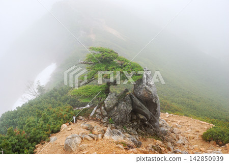[Mountain Scenery] Nagano Prefecture - Mount Tsubakuro Climbing - Mountains are Artists of Clouds 142850939