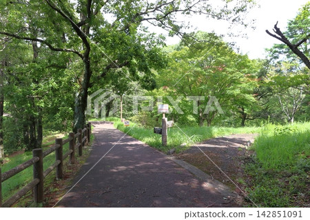 鏡山:停車場 → 通往平振展望台的道路(佐賀縣唐津市) 鏡山:停車場 → 通往平振展望台的道路(佐賀縣唐津市) 142851091