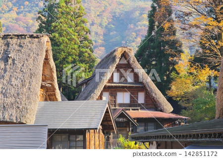 Gassho-zukuri houses in the Ainokura settlement of Gokayama 142851172