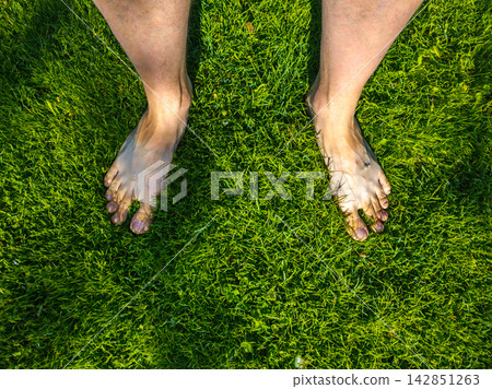 Bare Feet on Lush Green Grass Lawn Bare Feet on Lush Green Grass Lawn 142851263