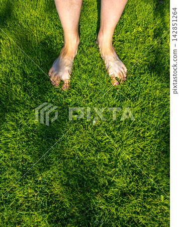 Bare Feet on Green Grass Under Sunlight Bare Feet on Green Grass Under Sunlight 142851264