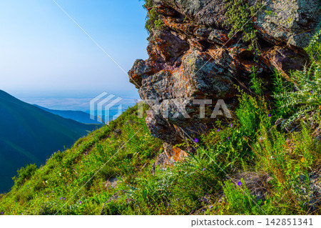Mountain Landscape with Rock Formation and Wildflowers Mountain Landscape with Rock Formation and Wildflowers 142851341