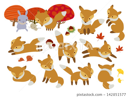 A set of cute animal illustrations featuring a fox playing in an autumn forest and autumn leaves. A set of cute animal illustrations featuring a fox playing in an autumn forest and autumn leaves. 142851577