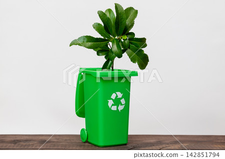 Green recycling bin with young plant growing on a white background Green recycling bin with young plant growing on a white background 142851794
