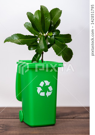 Green recycling bin with young plant growing indoors on table Green recycling bin with young plant growing indoors on table 142851795