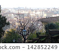 Almond blossoms on a street corner in Florence 142852249