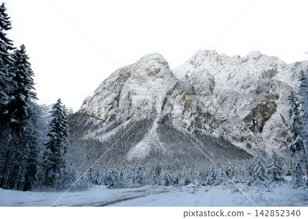 A snow-covered mountain range looms behind a snow-dusted pine forest A snow-covered mountain range looms behind a snow-dusted pine forest 142852340