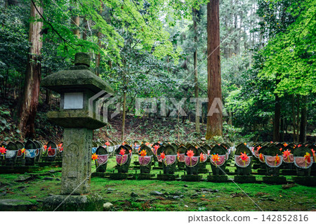 [滋賀縣東近江市]金剛林寺、千尊地藏菩薩 142852816