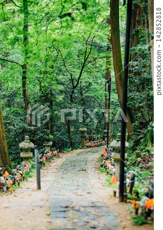 【滋賀縣東近江市】金剛林寺：一條兩側排列著上千尊地藏菩薩像的小路。 142852818