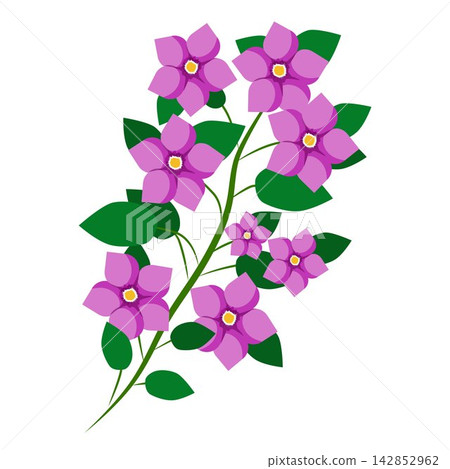 Delicate Floral Arrangement with Vibrant Purple Flowers and Lush Green Leaves Delicate Floral Arrangement with Vibrant Purple Flowers and Lush Green Leaves 142852962