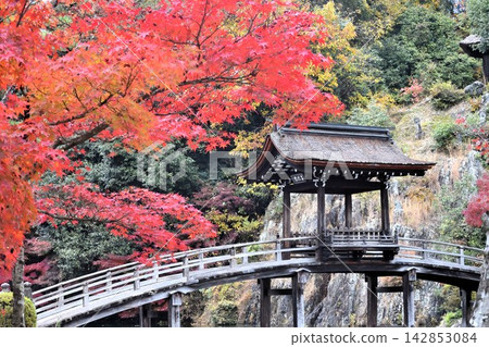 永寶寺內武塞橋的秋葉 永寶寺內武塞橋的秋葉 142853084