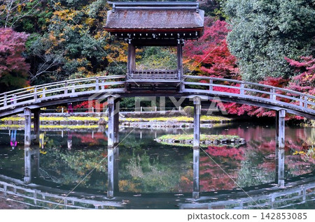 永寶寺的向井峽和牙龍池 142853085