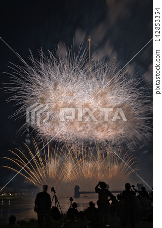 煙火在夜空中綻放；煙火在夏夜的夜空中盛開；煙火在夜空中盛開；絢麗的煙火表演；人們觀賞煙火。 142853354