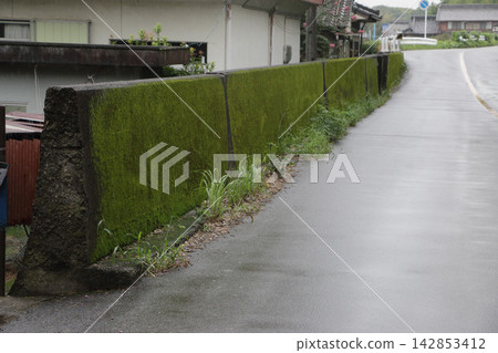 長滿青苔的環形堤防遺跡 長滿青苔的環形堤防遺跡 142853412