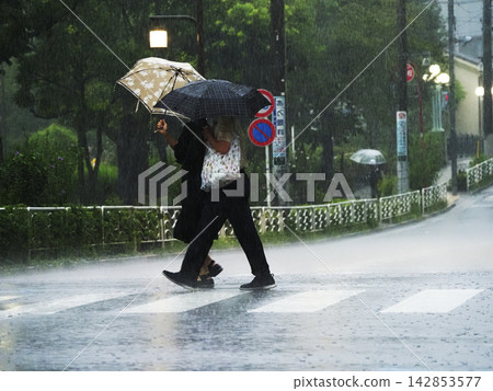 Pedestrians crossing a crosswalk on a rainy day Pedestrians crossing a crosswalk on a rainy day 142853577
