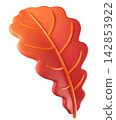 Autumn oak leaf in orange. Perfect for autumn, Halloween, and decorative banners. 142853922