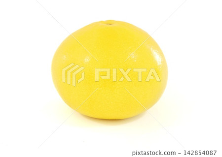 Tosa Buntan (pomelo), whole fruit, against a bright background. Tosa Buntan (pomelo), whole fruit, against a bright background. 142854087