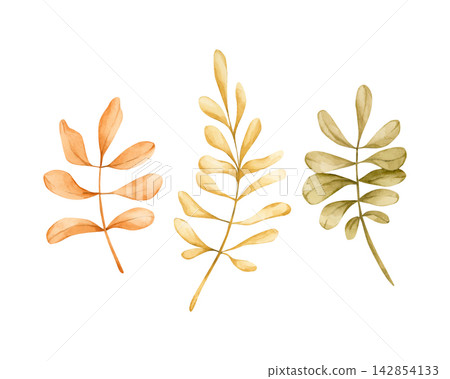 Cute Rowan leaves. Autumn plants Watercolor hand drawn floral illustration isolated on white background orange yellow green pastel for fall design home textile cozy prints porcelain crockery package 142854133