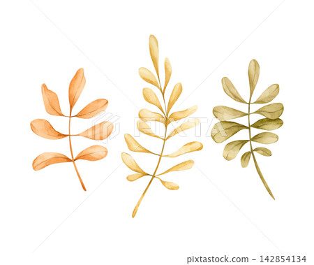 Cute Rowan leaves. Autumn plants Watercolor hand drawn floral illustration isolated on white background orange yellow green pastel for fall design home textile cozy prints porcelain crockery package 142854134