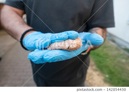 Raw meat patty placed on hot grill with gloved hand. Outdoor BBQ cooking Raw meat patty placed on hot grill with gloved hand. Outdoor BBQ cooking 142854430