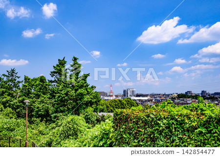 從山上看到的城市風光 從山上看到的城市風光 142854477