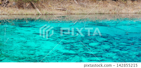 Scenery Jiuzhaigou national park in Sichuan, China. Beautiful Colorful Pond in Autumn season. Famous Landmark and Vacation near Chengdu, China. Asia travel concept Scenery Jiuzhaigou national park in Sichuan, China. Beautiful Colorful Pond in Autumn season. Famous Landmark and Vacation near Chengdu, China. Asia travel concept 142855215