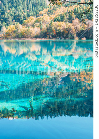 Scenery Jiuzhaigou national park in Sichuan, China. Beautiful Five Flower Lake in Autumn season. Famous Landmark and Vacation near Chengdu, China. Asia travel concept 142855236