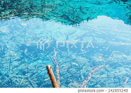 Scenery Jiuzhaigou national park in Sichuan, China. Beautiful clear water of Five Flower Lake in Autumn season. Famous Landmark and Vacation near Chengdu, China. Asia travel concept Scenery Jiuzhaigou national park in Sichuan, China. Beautiful clear water of Five Flower Lake in Autumn season. Famous Landmark and Vacation near Chengdu, China. Asia travel concept 142855240