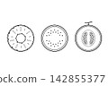 Line art illustrations of the cross-sections of summer fruits (melon, watermelon, pineapple) 142855377