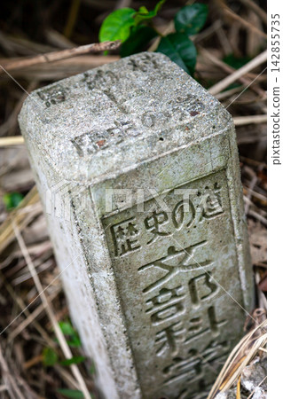 山田佐久川的石橋 山田佐久川的石橋 142855735