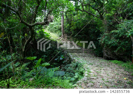 山田佐久川的石橋 山田佐久川的石橋 142855736
