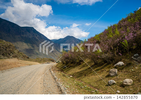 Dirt road running along Chulyshman river at entrance to Chulyshman valley in Altai Russia Scenic remote route through wild mountain landscape Dirt road running along Chulyshman river at entrance to Chulyshman valley in Altai Russia Scenic remote route through wild mountain landscape 142855870