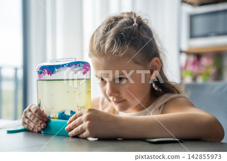 Little girl observing artemia in water as simple home science experiment. Exploring micro life, biology and natural processes concept. Little girl observing artemia in water as simple home science experiment. Exploring micro life, biology and natural processes concept. 142855973