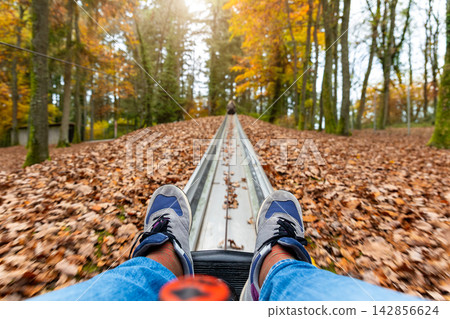 POV ride on alpine coaster through colorful autumn forest, sneakers visible above metal track and fallen leaves. Motion blur, woodland scenery and downhill leisure create adventurous seasonal mood POV ride on alpine coaster through colorful autumn forest, sneakers visible above metal track and fallen leaves. Motion blur, woodland scenery and downhill leisure create adventurous seasonal mood 142856624