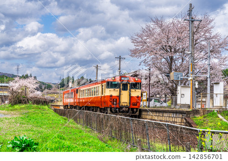 A local train bound for Okayama Station on the Tsuyama Line, stopped at Tanjoji Station. Spring scenery. Kume-minami Town, Kume District, Okayama Prefecture. A local train bound for Okayama Station on the Tsuyama Line, stopped at Tanjoji Station. Spring scenery. Kume-minami Town, Kume District, Okayama Prefecture. 142856701
