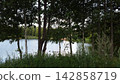 Calm Forest Lake Viewed Through Dark Tree Trunks 142858719