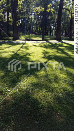 Sunlit Green Lawn in the Park with Tree Shadows Sunlit Green Lawn in the Park with Tree Shadows 142858720