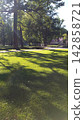 Sunlit Park Lawn with a Small Bridge and Houses in the Background 142858721