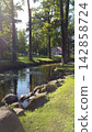 Vertical View of Scenic Park Stream with Perfect Tree Reflection 142858724