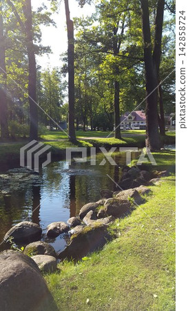 Vertical View of Scenic Park Stream with Perfect Tree Reflection Vertical View of Scenic Park Stream with Perfect Tree Reflection 142858724
