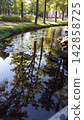 Vertical View of Scenic Park Stream with Perfect Tree Reflection 142858725