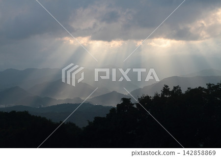 光進山 光進山 142858869