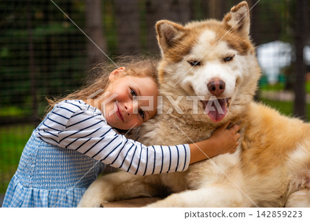 Young girl petting and hugging Siberian Husky dog outdoors. Child interaction with animal represents friendship, affection and emotional bond with pets Young girl petting and hugging Siberian Husky dog outdoors. Child interaction with animal represents friendship, affection and emotional bond with pets 142859223