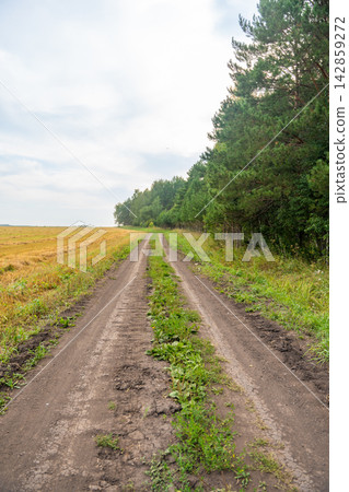 Dirt road runs between harvested field and forest in Kemerovo region of southwestern Siberia, Russia. Rural landscape represents agriculture and countryside infrastructure Dirt road runs between harvested field and forest in Kemerovo region of southwestern Siberia, Russia. Rural landscape represents agriculture and countryside infrastructure 142859272
