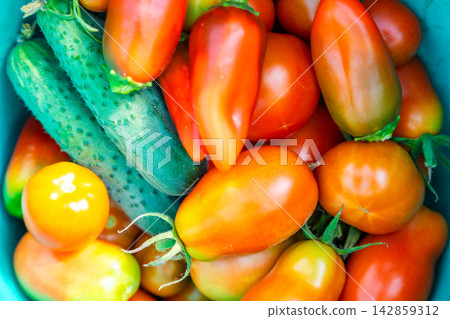 Fresh tomatoes, cucumbers and peppers collected from home greenhouse. Homegrown vegetable harvest represents self sufficiency, healthy food and sustainable gardening 142859312