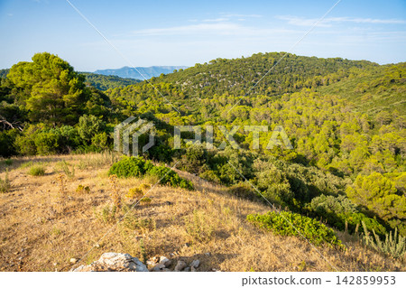 Panoramic view from the mountain pass above Mljet National Park on Mljet Island Croatia. Mediterranean forest landscape and protected nature. Panoramic view from the mountain pass above Mljet National Park on Mljet Island Croatia. Mediterranean forest landscape and protected nature. 142859953